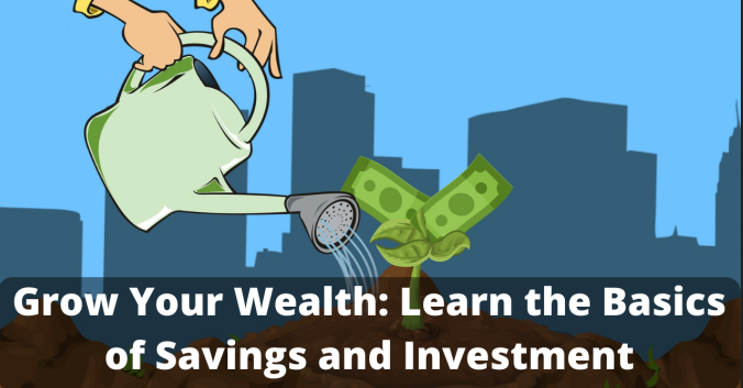 Grow Your Wealth: Learn the basics of Savings and Investments